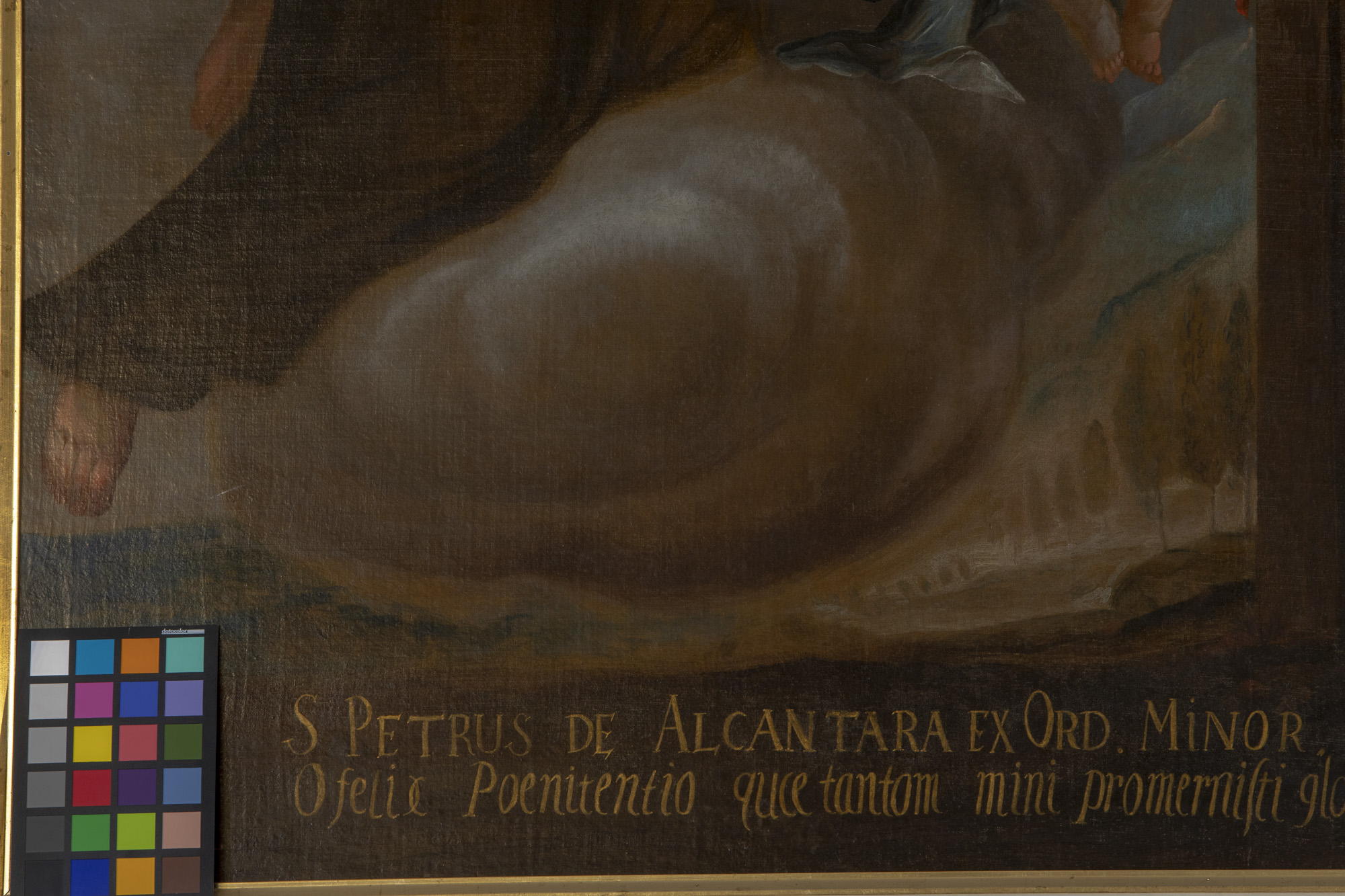 Obraz św. Piotra z Alkantary