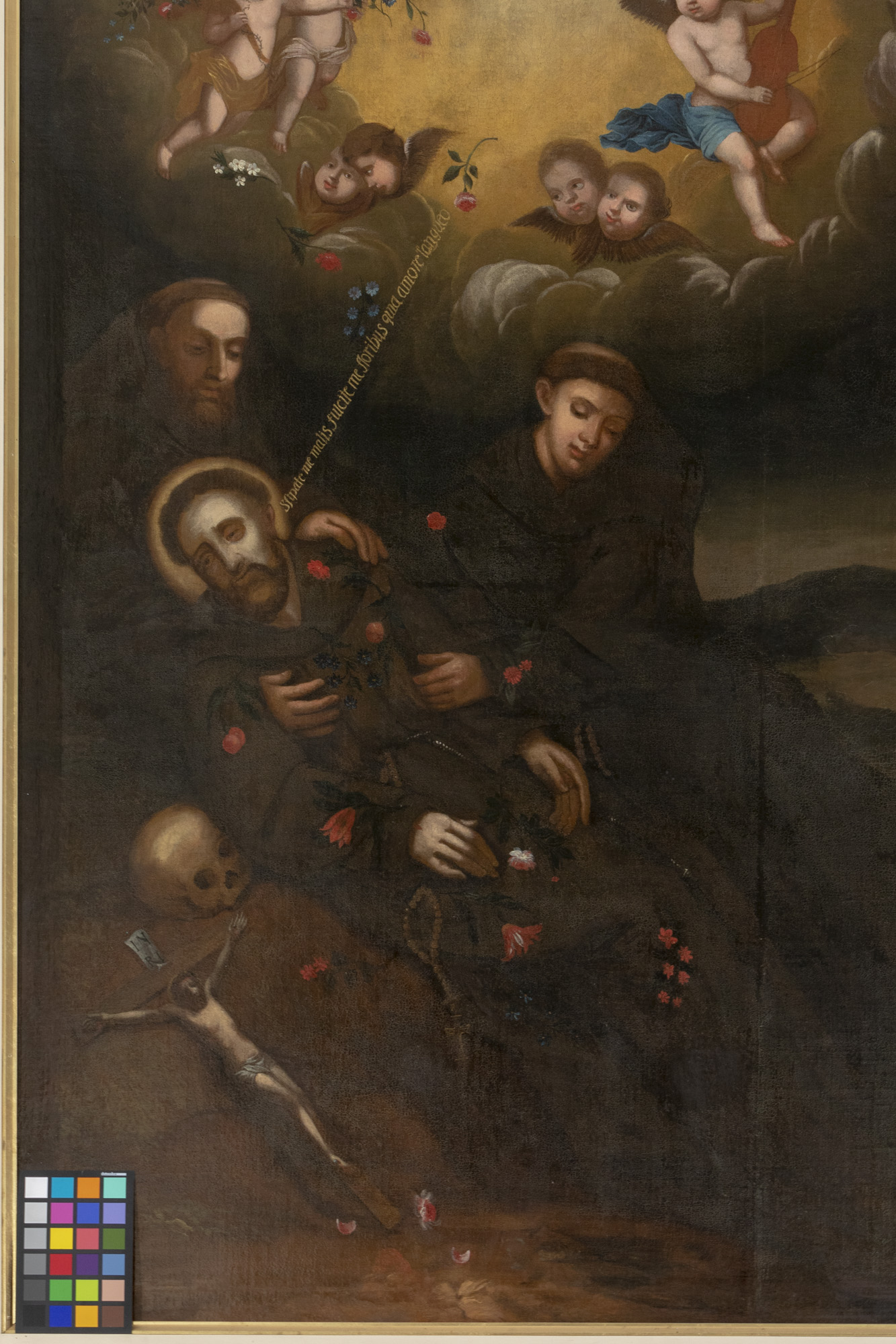 Obraz wizji św. Ksawerego